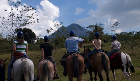 Thumbnail [100%x225]